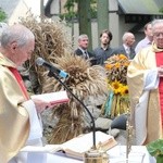 Błogosławieństwo groty Matki Bożej z Lourdes w Bińczu