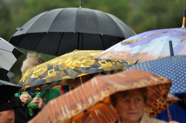 Pielgrzymka Trzeźwości w Polanowie