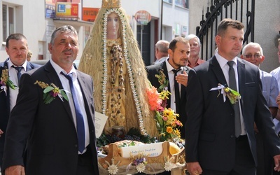 Pola, ugory i samosiejki