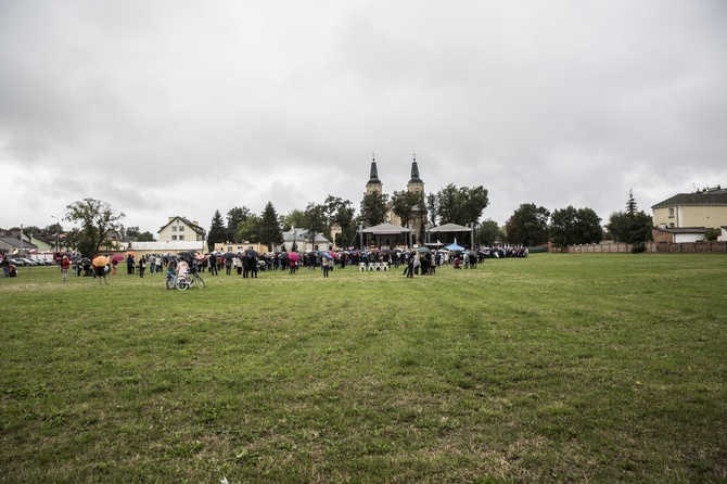 Msza św. przed ikoną jasnogórską - cz. 3