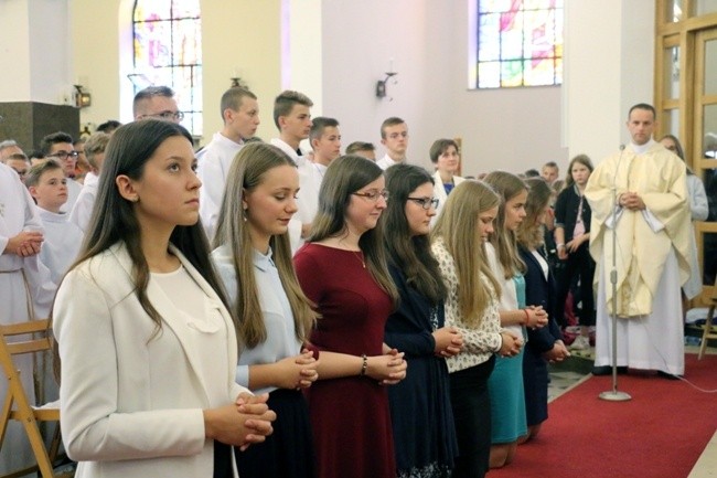 Pielgrzymka Ruchu Światło-Życie i Liturgicznej Służby Ołtarza