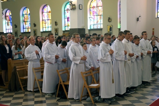 Pielgrzymka Ruchu Światło-Życie i Liturgicznej Służby Ołtarza