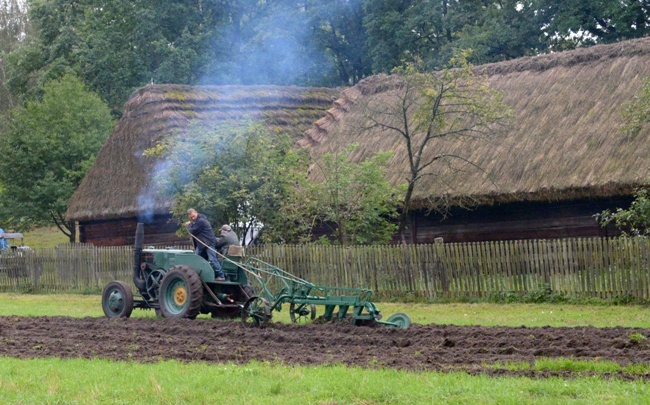 XIX Święto Chleba w Radomiu