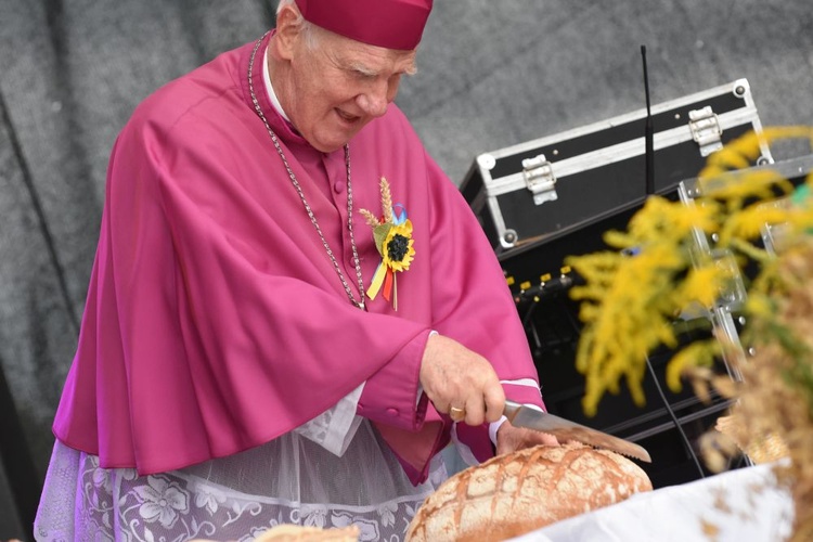 Diecezjalne dożynki w Lutomii Dolnej