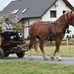 Diecezjalne dożynki w Lutomii Dolnej