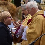 Diecezjalne dożynki w Lutomii Dolnej