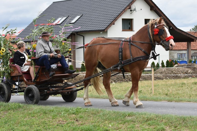 Dożynki diecezjalne w Lutomii Dolnej