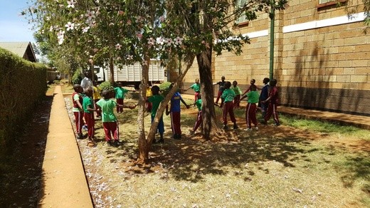 Wolontariusz z Bielska-Białej na misjach w Kenii