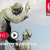 Zwiastun najnowszego „Gościa”