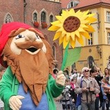 Krasnale, wszędzie krasnale...
