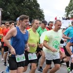 Wrocławski maraton