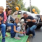 Święto Róży w Kutnie