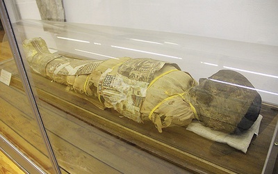 Mumia egipska 8-letniego chłopca pochodząca z 323 r.  przed Chrystusem.