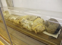 Mumia egipska 8-letniego chłopca pochodząca z 323 r.  przed Chrystusem.