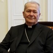 Abp Ioan Robu