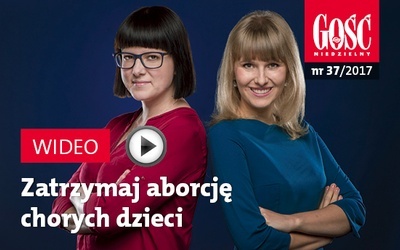 Zwiastun najnowszego „Gościa”