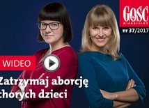 Zwiastun najnowszego „Gościa”