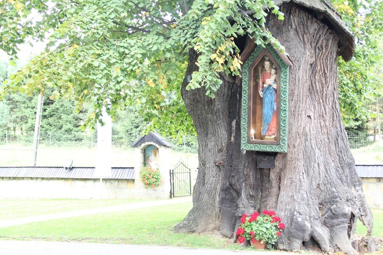 Uroczystość w Czarnym Potoku