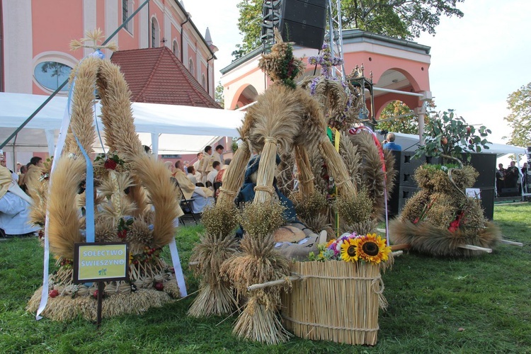 Diecezjalna Pielgrzymka do Skrzatusza cz.3