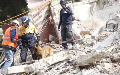 Trzęsienie ziemi w Meksyku - trwa akcja ratunkowa