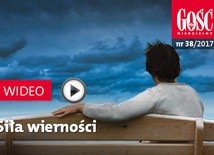 Zwiastun najnowszego „Gościa”