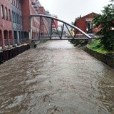 Białka przy CH "Sfera" w Bielsku-Białej 
