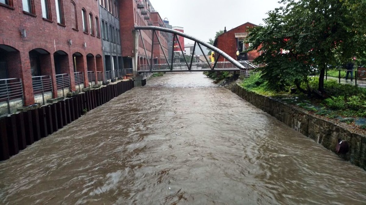 Białka przy CH "Sfera" w Bielsku-Białej 