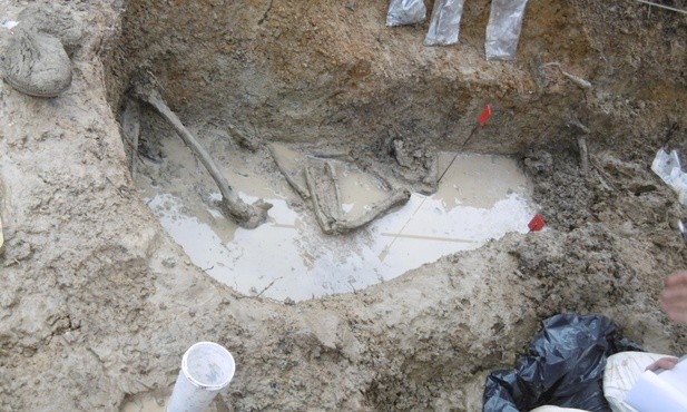 Odnalezione szczątki partyzantów w Starym Grodkowie