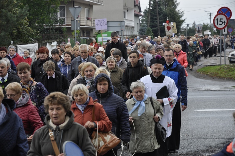 XIII Pielgrzymka Kół Żywego Różańca