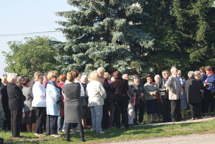 Koronka na ulicach Dębicy-Latoszyna