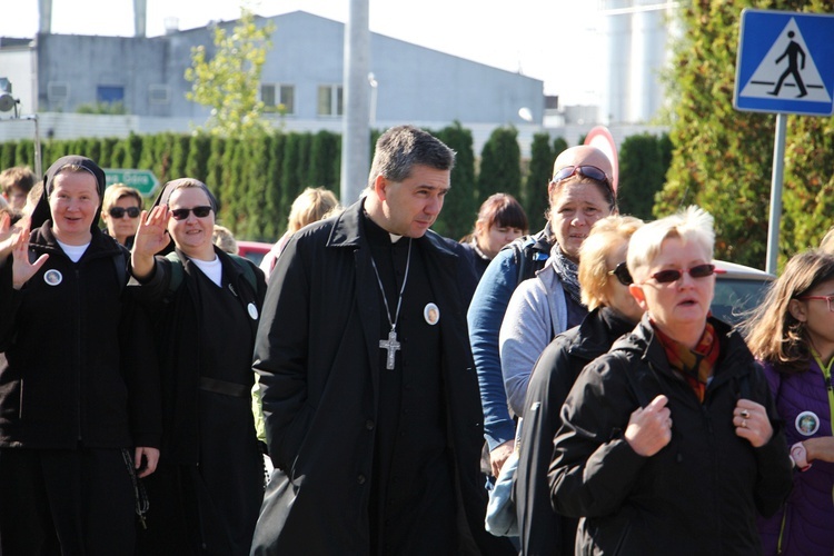 Pielgrzymka katechetów i nauczycieli