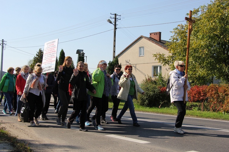 Pielgrzymka katechetów i nauczycieli