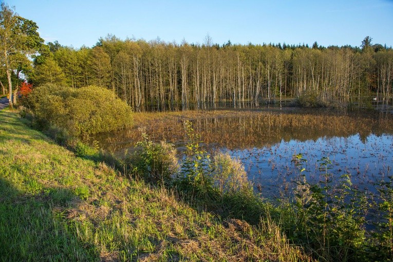 Zapad 2017, po naszemu