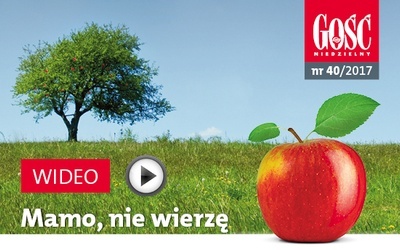 Zwiastun najnowszego „Gościa”