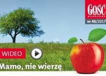 Zwiastun najnowszego „Gościa”