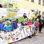 Żonkilowy Marsz Nadziei 2017