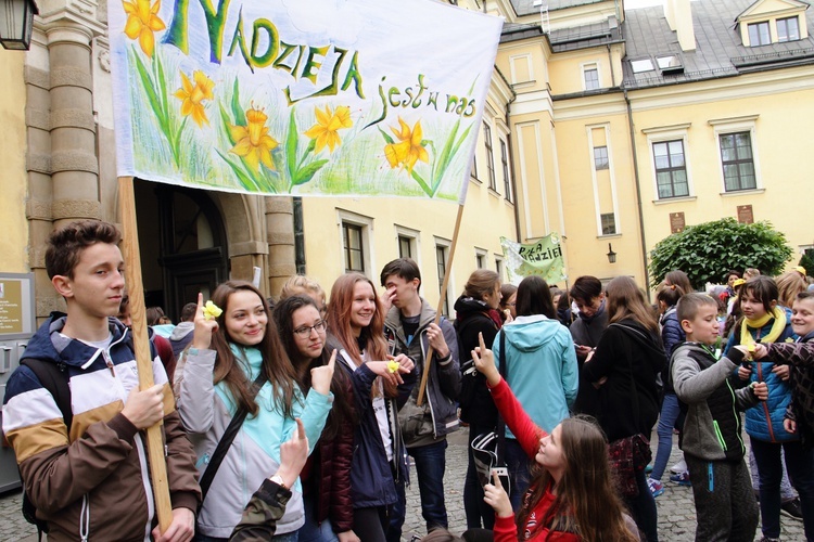 Żonkilowy Marsz Nadziei 2017