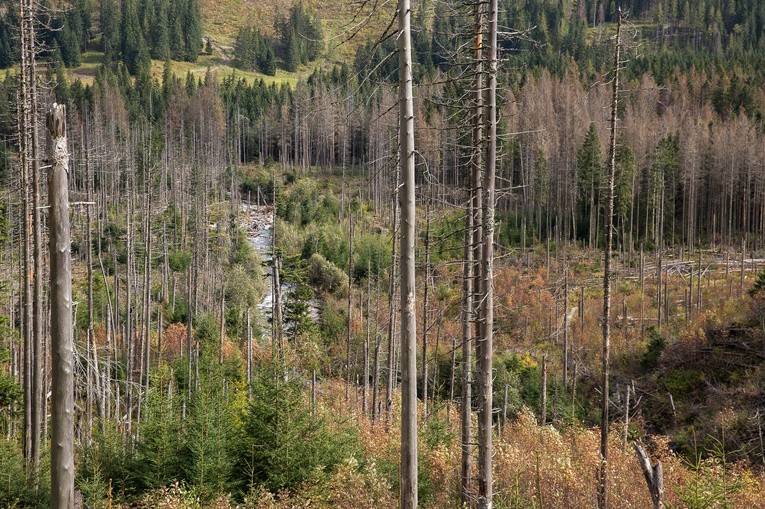 Schronisko w Dolinie Roztoki