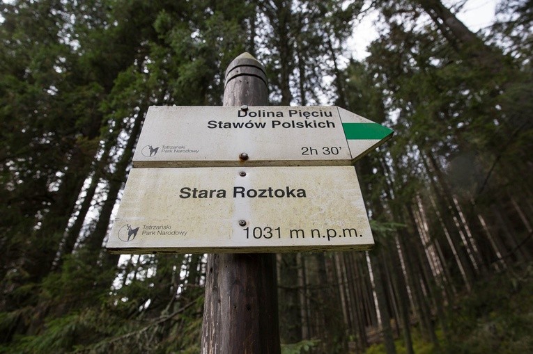 Schronisko w Dolinie Roztoki