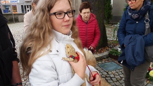 Błogosławieństwo zwierząt w Gliwicach