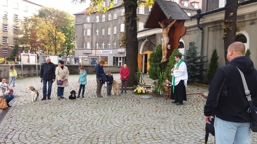 Błogosławieństwo zwierząt w Gliwicach