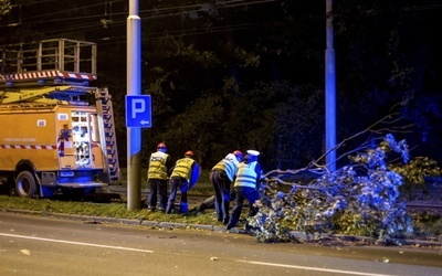 Kolejarze usuwają skutki anomalii pogodowych