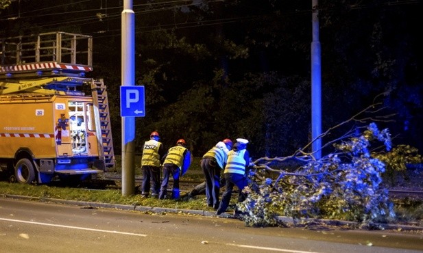 Kolejarze usuwają skutki anomalii pogodowych