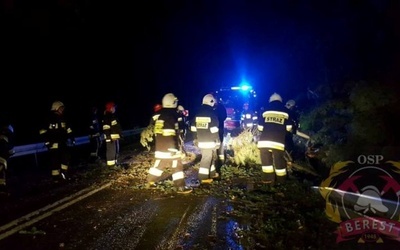 Strażacy z Berestu usuwają skutki nocnej wichury