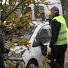 W Skierniewicach upadający kasztan zniszczył ogrodzenie i samochód