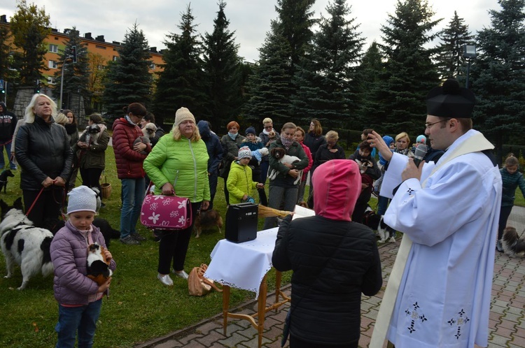 Nabożeństwo z udziałem zwierząt