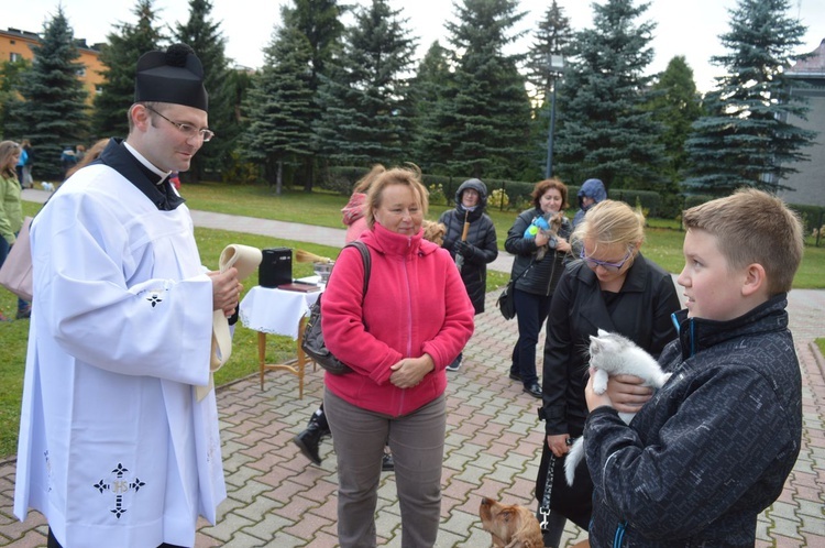 Nabożeństwo z udziałem zwierząt