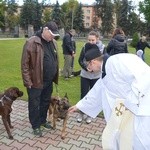 Nabożeństwo z udziałem zwierząt