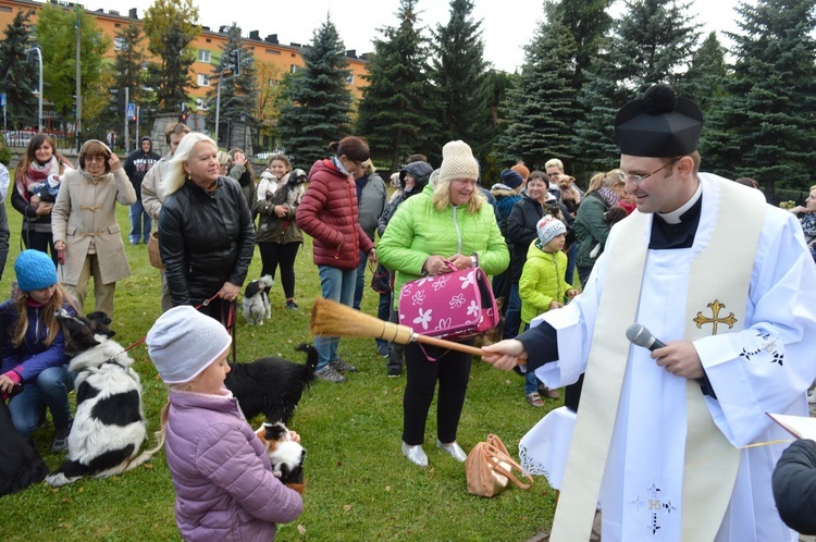 Nabożeństwo z udziałem zwierząt