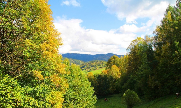 Piwniczna, Piwowarówka - Różaniec do Granic